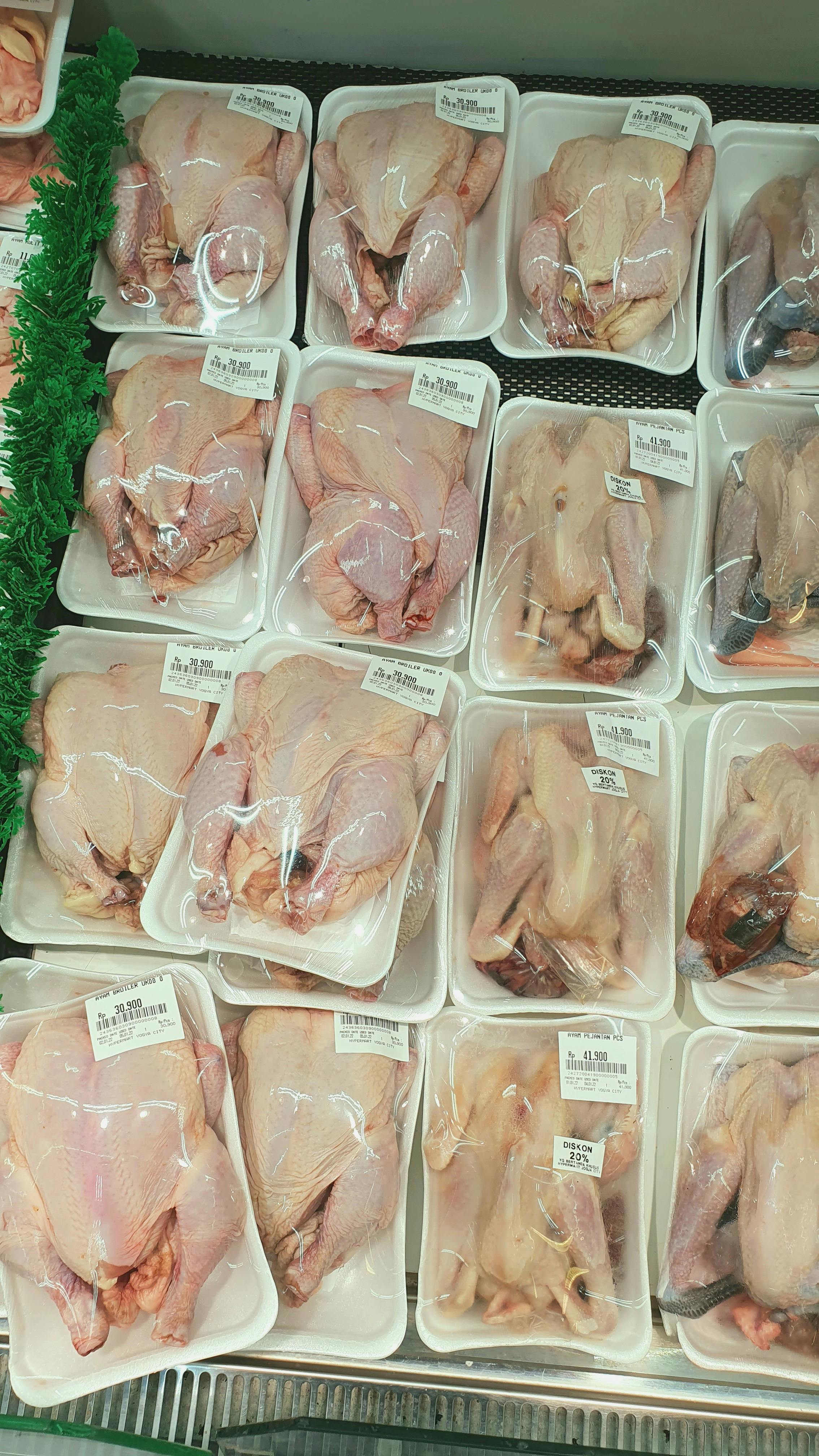 Chicken — counter shot